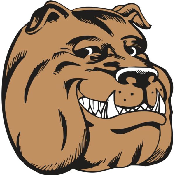 BAW BULLDOG 04 RC Thumbnail