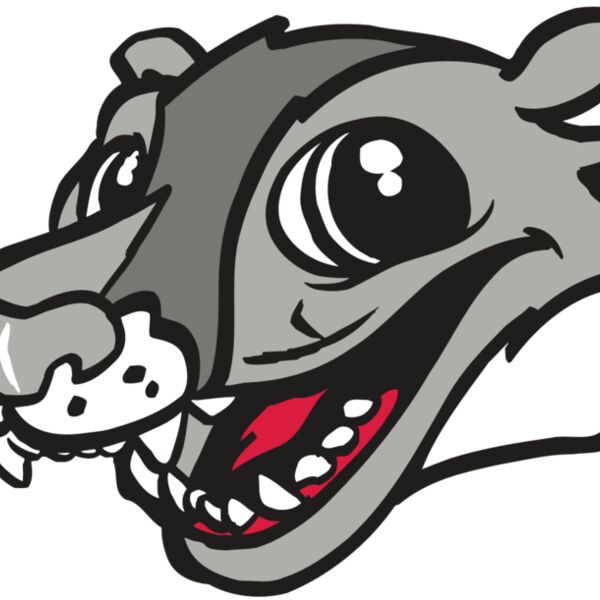 AR WOLVERINE 12 RC Thumbnail