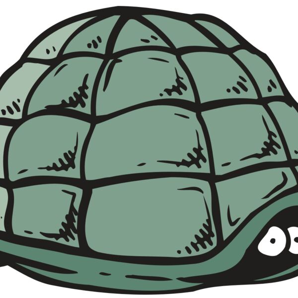 AR5 Turtle 10 RQC Thumbnail